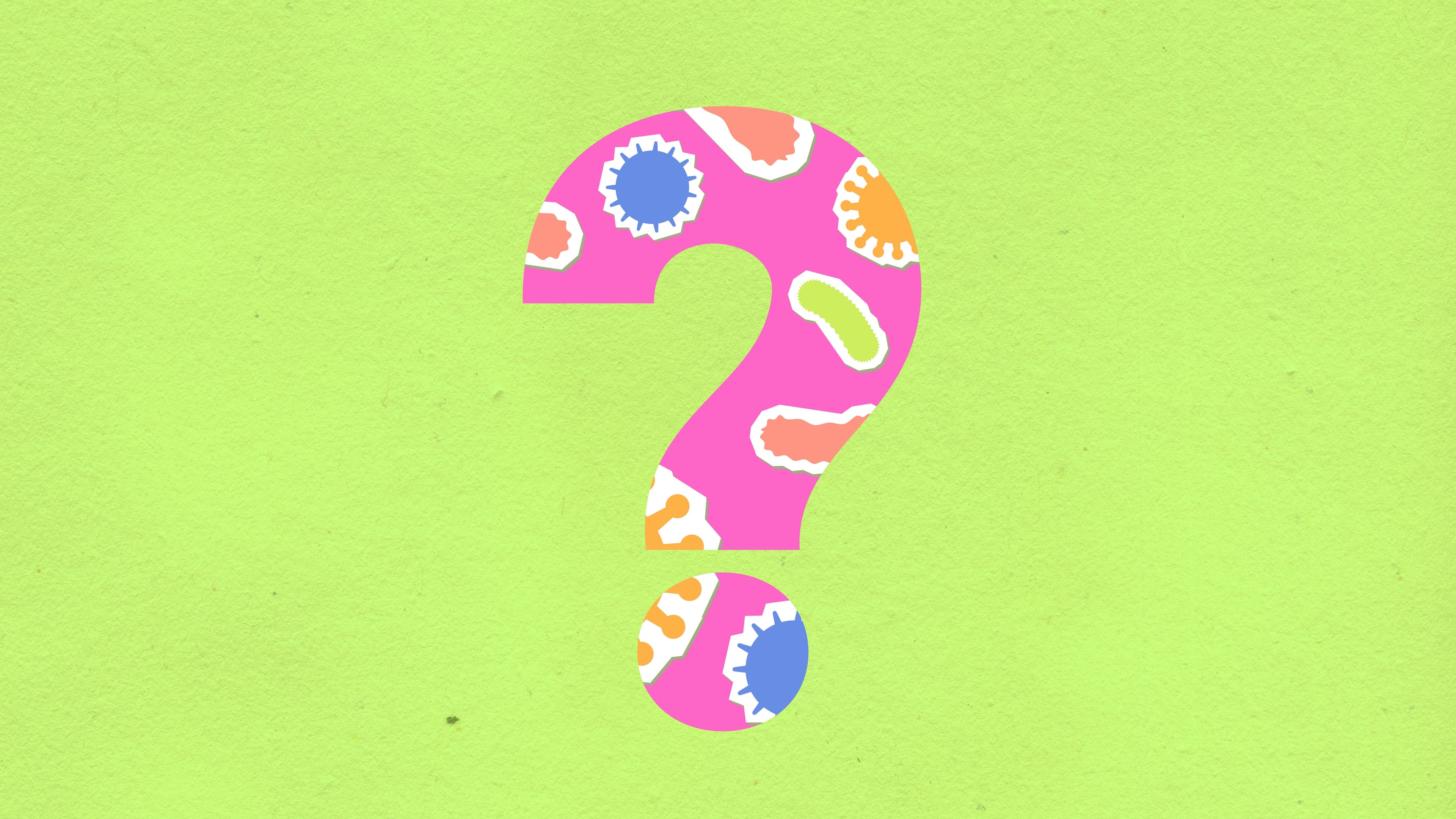 Step 2: Q&A